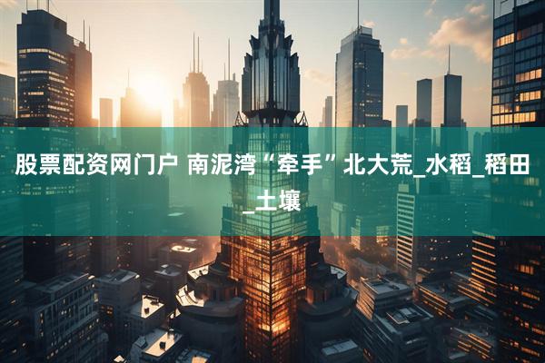 股票配资网门户 南泥湾“牵手”北大荒_水稻_稻田_土壤