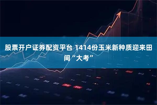 股票开户证券配资平台 1414份玉米新种质迎来田间“大考”